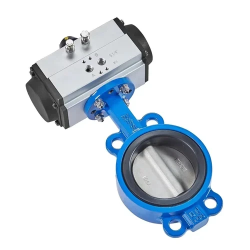 Pneumatic Butterfly Valve 1