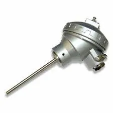 RTD Sensor
