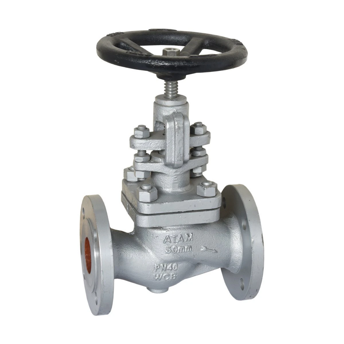 Globe Valve 1