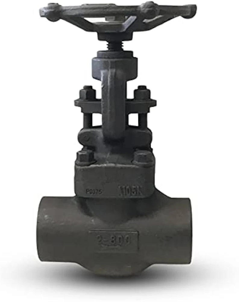 Globe Valve 3
