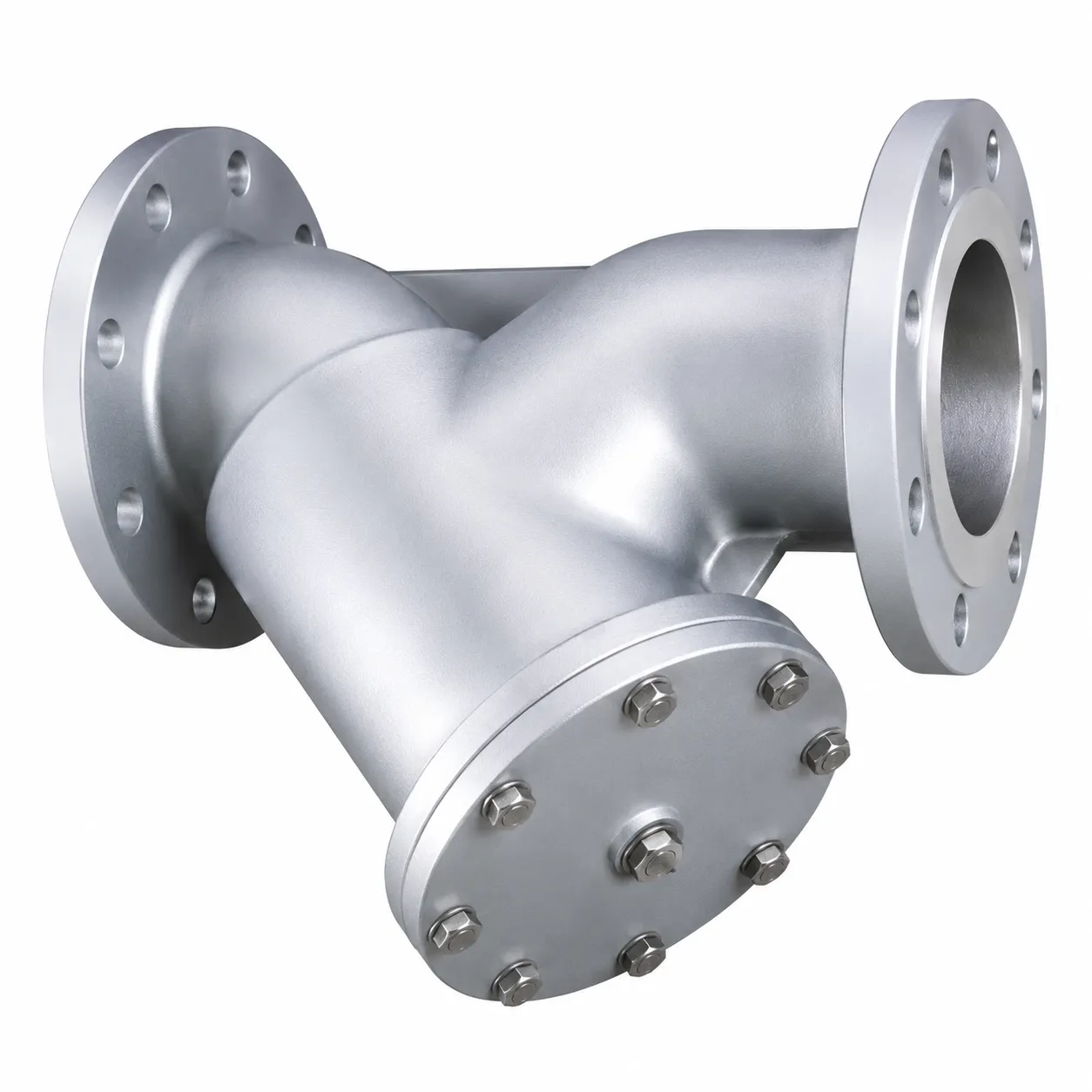 Strainer Main